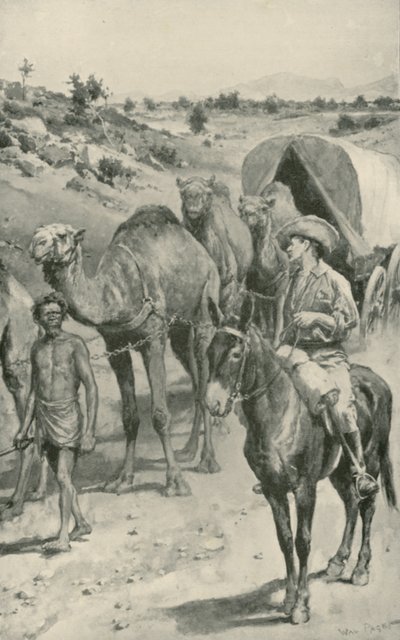 Uma camelo-caravana, Austrália Ocidental de Walter Stanley Paget