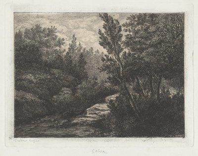 Selva (Bosques) de Walter Teodoro Bosio