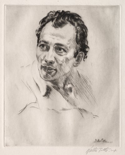 Henri Caro-Delvaille, nº 2 de Walter Tittle