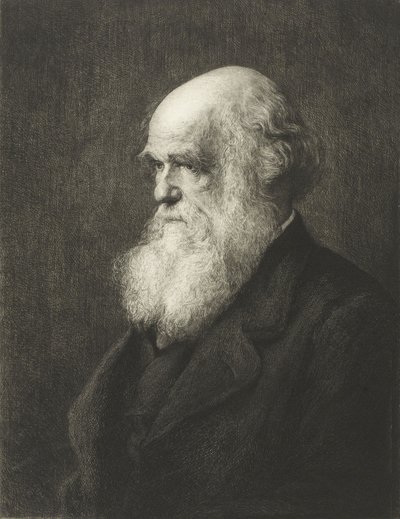 Charles Robert Darwin (gravura) de Walter William (after) Ouless
