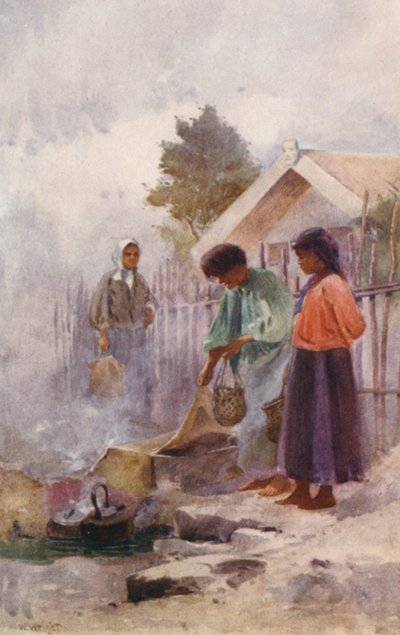 Nova Zelândia: Cozinhar numa fonte termal (litografia a cores) de Walter Wright