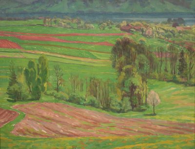 Paisagem atércia na Primavera de Walther Gamerith