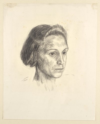 Retrato de uma senhora de Walther Gamerith