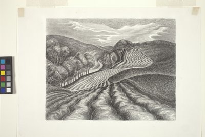 Campos arados (tinta, lápis) de Wanda Gág