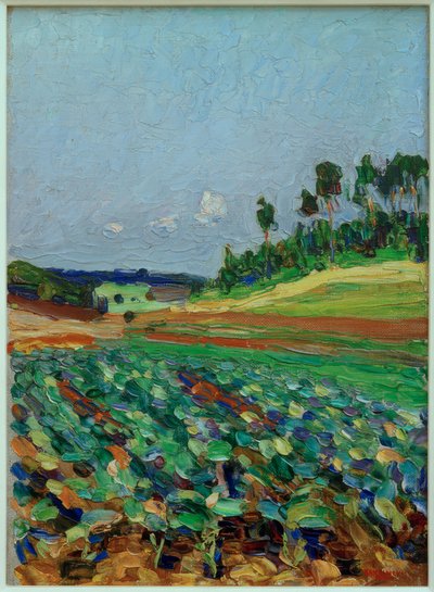 Paisagem perto de Regensburg de Wassily Kandinsky