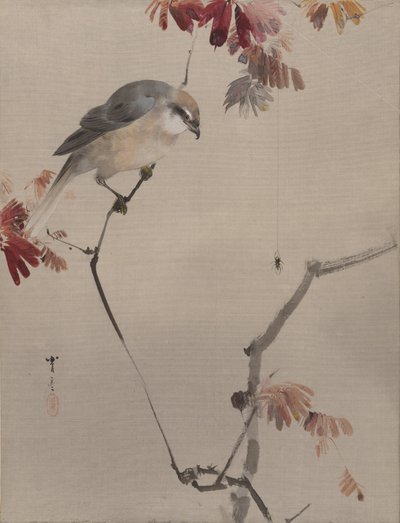 Aranha no ramo assistindo aranha, ca. 1887 de Watanabe Seitei
