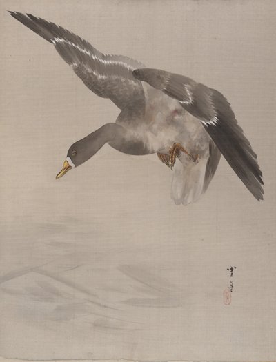 Duck, ca. 1887 de Watanabe Seitei
