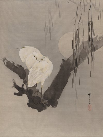 Garças em uma árvore à noite, ca. 1887 de Watanabe Seitei
