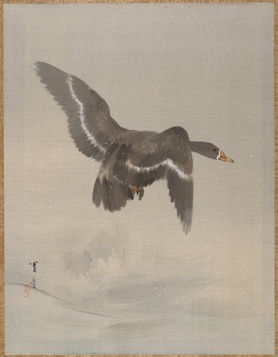 Ganso Voador, c. 1887. de Watanabe Seitei