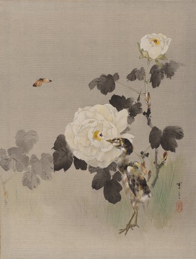 Rosas, pássaro jovem e uma borboleta, ca. 1887 de Watanabe Seitei