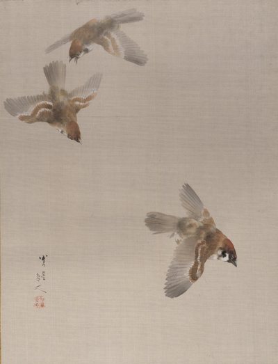 Sparrows Flying, ca. 1887. de Watanabe Seitei