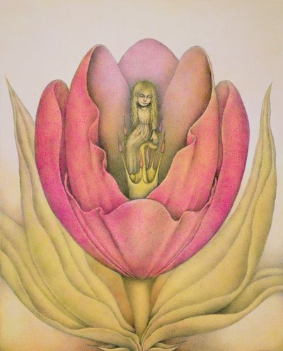 A tulipa abre-se com um estalo de Wayne Anderson