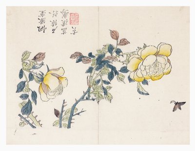 Jardim de sementes de mostarda de Wen shu Chao
