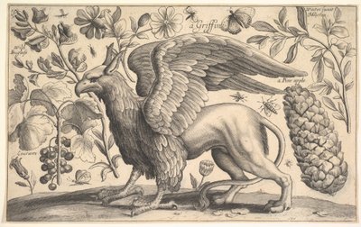 Um Grifo, 1625-77. de Wenceslaus Hollar
