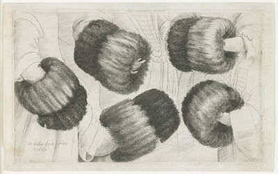 Um Muff em Cinco Vistas, 1645-1646 de Wenceslaus Hollar