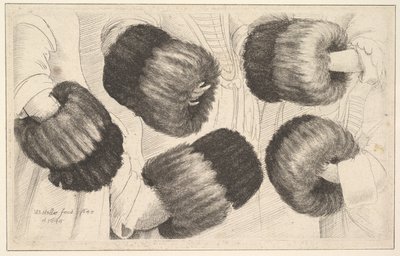 Um Muff em cinco vistas, 1645-46. de Wenceslaus Hollar
