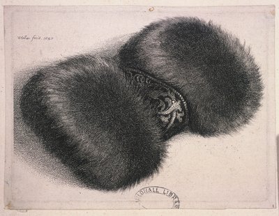 Um grande regalo com uma faixa de brocado, 1647 de Wenceslaus Hollar