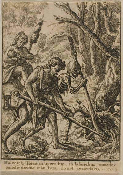 Adam Arando de Wenceslaus Hollar