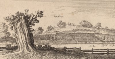 Albury, 1645. de Wenceslaus Hollar