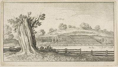 Albury com toco de árvore em primeiro plano de Wenceslaus Hollar