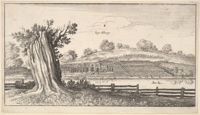 Albury com coto de árvore em primeiro plano, 1625-77. de Wenceslaus Hollar