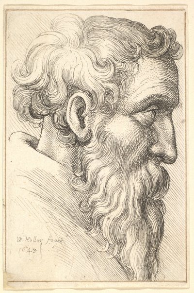 Velho barbudo de perfil para a direita, 1645. de Wenceslaus Hollar