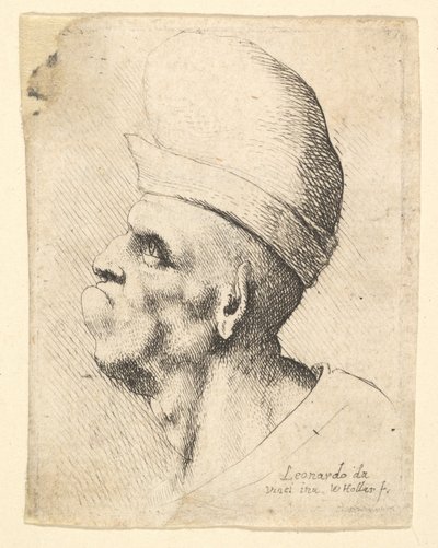 Busto de um homem deformado usando um chapéu bulboso de perfil à esquerda, 1625-77. de Wenceslaus Hollar