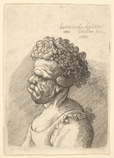 Busto de uma mulher deformada com cabelos cacheados de perfil à esquerda, 1665. de Wenceslaus Hollar