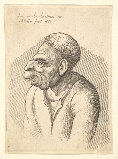 Busto de homem com nariz adunco, lábio superior proeminente, boca aberta e cabelo curto e encaracolado ..., 1665. de Wenceslaus Hollar