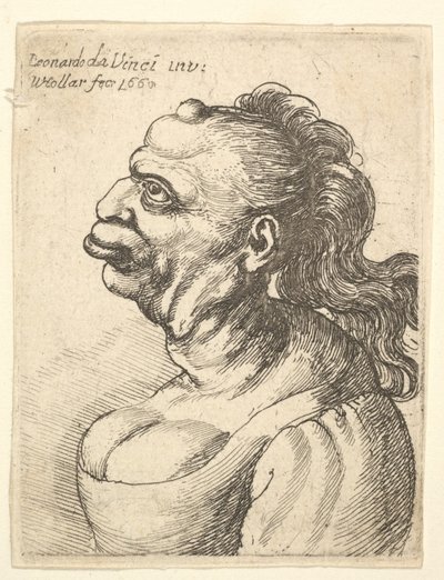 Busto de uma mulher usando vestido decotado, com lábios salientes, crescimento na testa, prom ..., 1660. de Wenceslaus Hollar