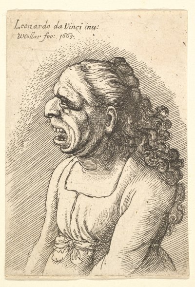 Busto de mulher com a boca aberta e longos cabelos encaracolados caindo sobre os ombros, vestindo ..., 1665. de Wenceslaus Hollar
