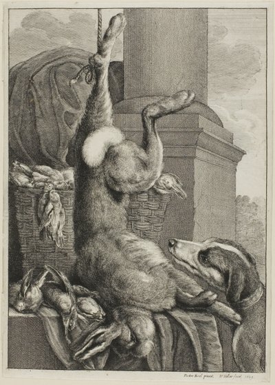 Lebre morta de Wenceslaus Hollar