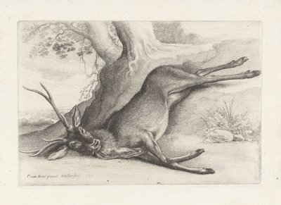 Veado morto a tiro
Caça, cães de caça e caça (título da série) de Wenceslaus Hollar