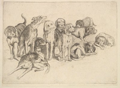 Onze cães, 1625-77. de Wenceslaus Hollar