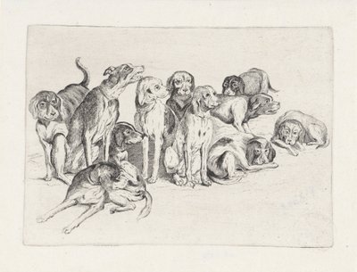 Onze cães de caça de Wenceslaus Hollar