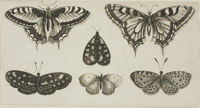 Cinco borboletas e uma mariposa de Wenceslaus Hollar