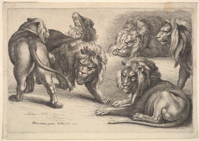 Cinco Leões e uma Leoa, 1646. de Wenceslaus Hollar