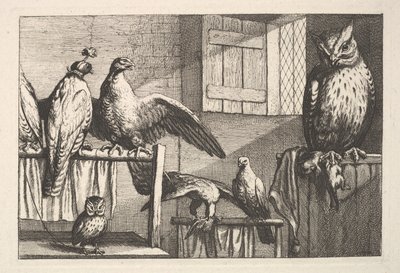 Falcões e corujas, 1625-77. de Wenceslaus Hollar