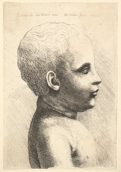 Cabeça e ombro de uma criança, de perfil para a direita, 1645. de Wenceslaus Hollar