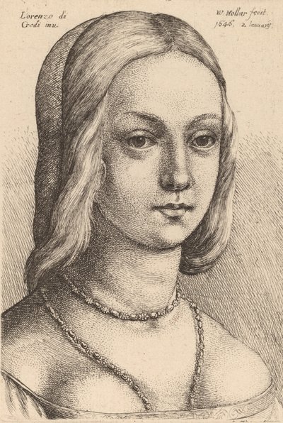 Cabeça de mulher olhando para a direita. de Wenceslaus Hollar