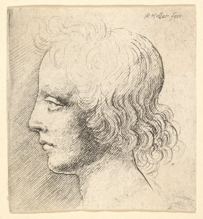  de Wenceslaus Hollar