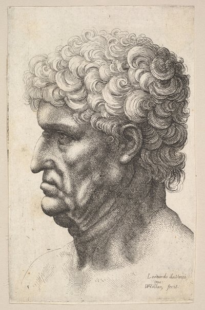 Cabeça de um homem com cabelos cacheados e grossos em perfil à esquerda, 1640-49. de Wenceslaus Hollar