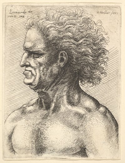 Cabeça de um homem musculoso de perfil à esquerda com cabelos soltos, 1625-77. de Wenceslaus Hollar