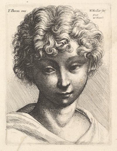 Cabeça de uma jovem garota, 1645. de Wenceslaus Hollar