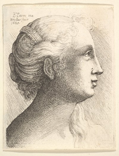 Cabeça de uma jovem de perfil à direita, 1645. de Wenceslaus Hollar