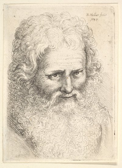 Cabeça de um homem idoso com uma grande barba de Wenceslaus Hollar