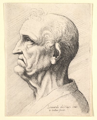 Cabeça de um homem velho, com tufos de cabelos encaracolados ao redor da orelha, de perfil para a esquerda, 1644-52. de Wenceslaus Hollar