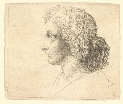 Cabeça de jovem com cabelos compridos em perfil à esquerda, 1644-52. de Wenceslaus Hollar