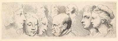 Head studies, 1644-52. de Wenceslaus Hollar