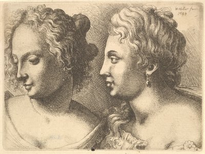 Chefes de duas jovens, 1645. de Wenceslaus Hollar